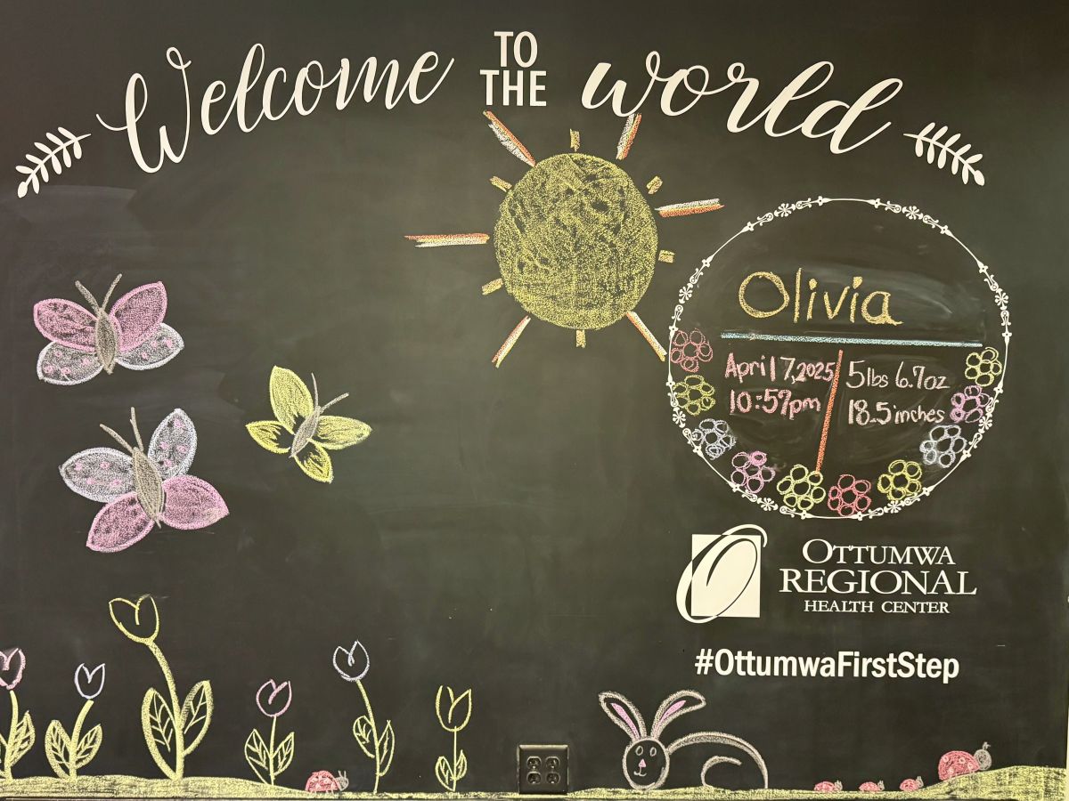 Welcome to the World Wall